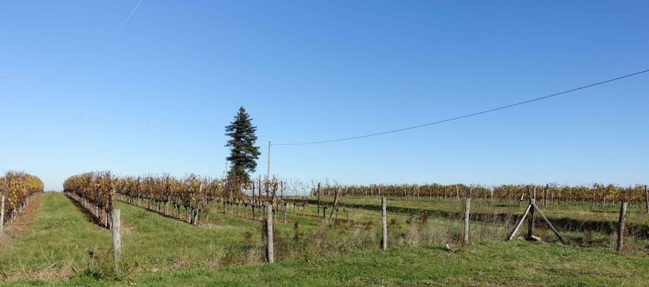 Willa Le Clos De La Chataignere Vérac Zewnętrze zdjęcie